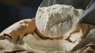 طحين الشعير الحبة الكاملة