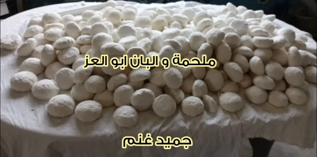 ملحمة والبان ابو العز 14