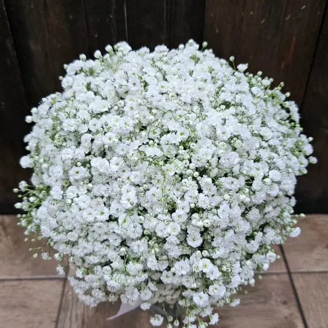 haya flowers / ازهار هيا 11