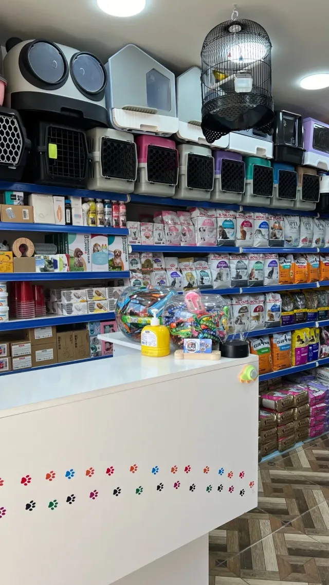 Alpha Pet Shop- الفاً للحيوانات الاليفة 7
