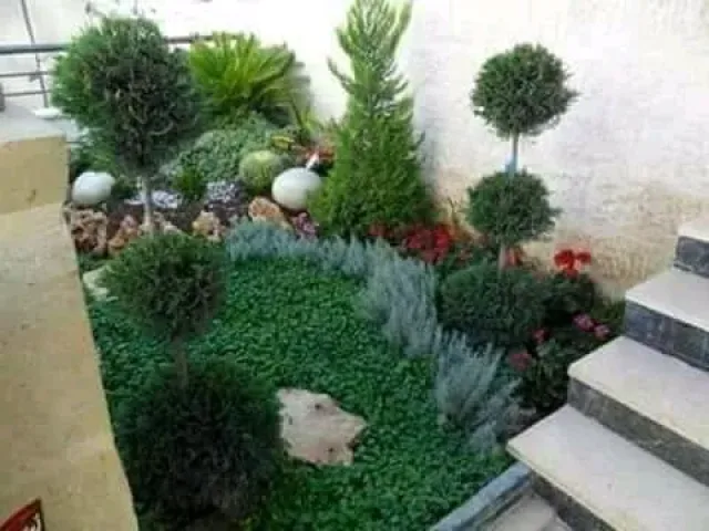 تنسيق الحدائق 11