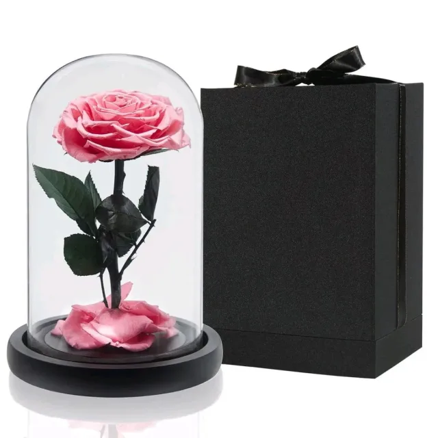Forever rose Jo 3