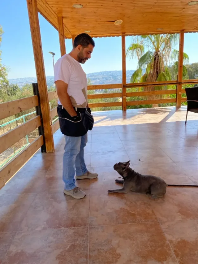 joseph almasri dog trainer 7