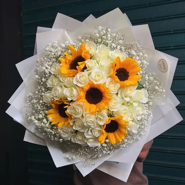Planto Flowers - ازهار بلانتو