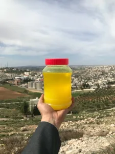 سمن بلدي