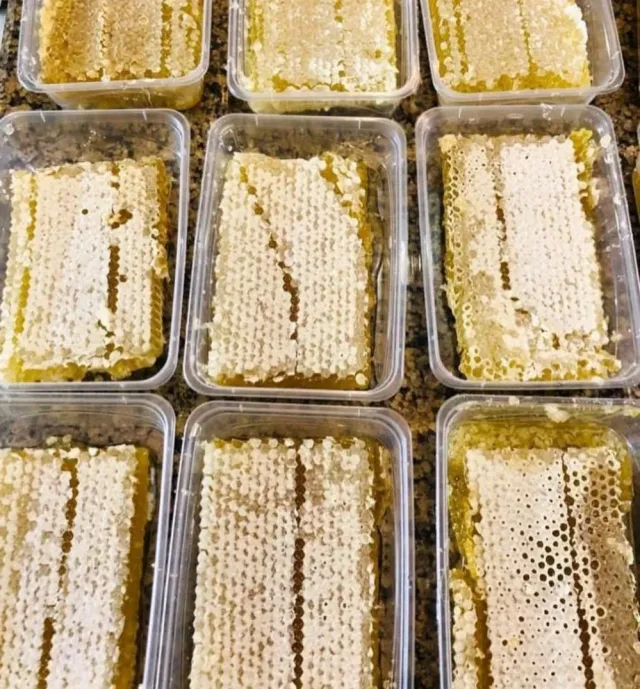 السفاريني للحضار والفواكة والعسول 7