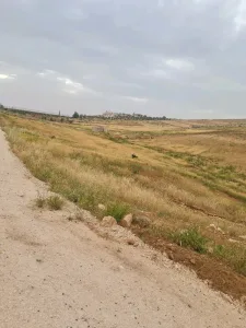 ارض زراعية للبيع 3