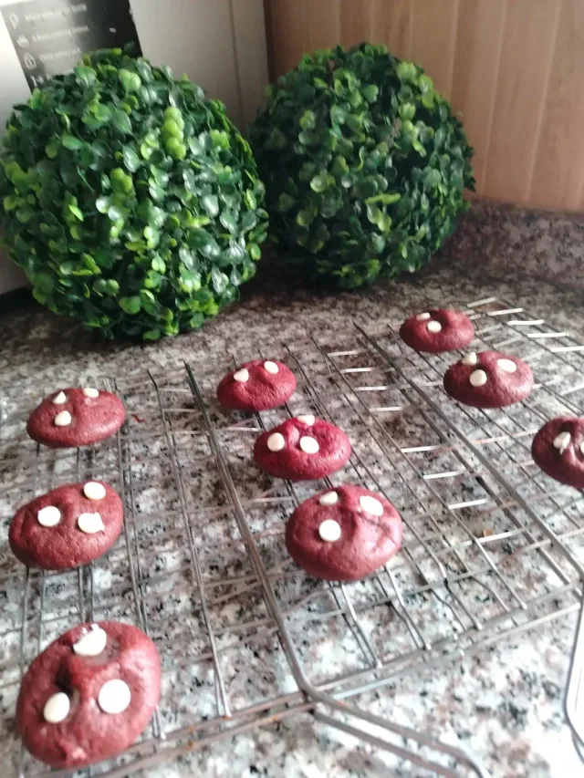 Cookie's Land