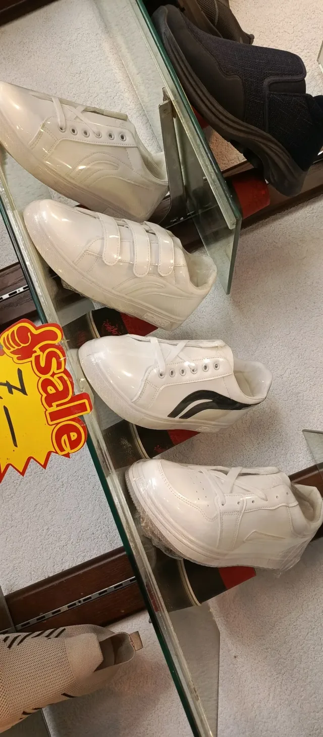 معرض الجمال 6