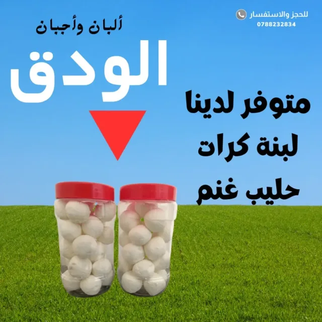 الودق 3