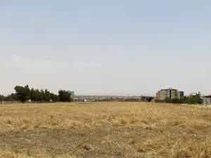 🏡 أرض للبيع في شمال الأردن – الرمثا، محافظة إربد 7