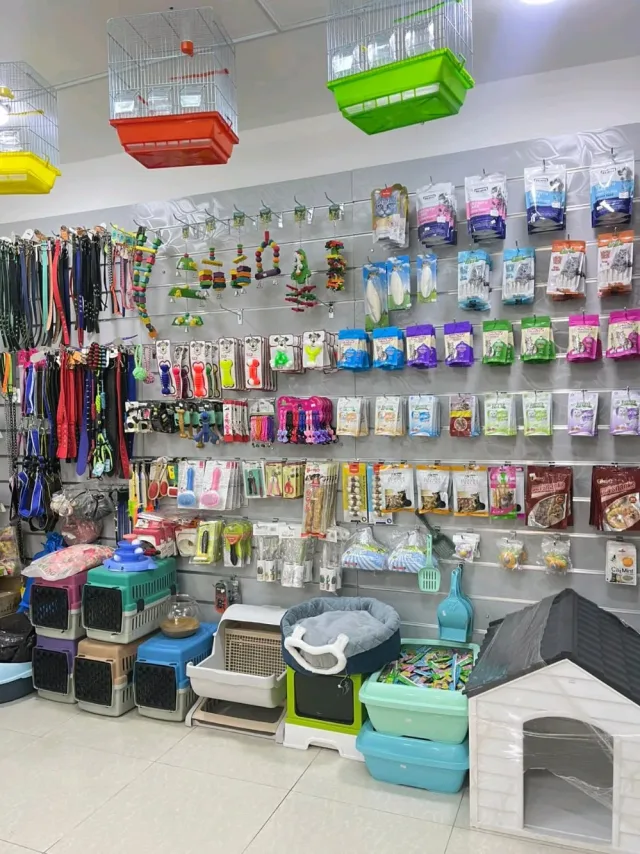 dargon Pet shop 11