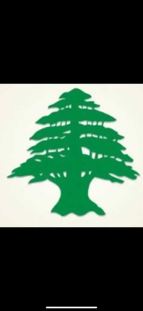 معرض الارز