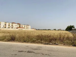 🏡 أرض للبيع في شمال الأردن – الرمثا، محافظة إربد 6