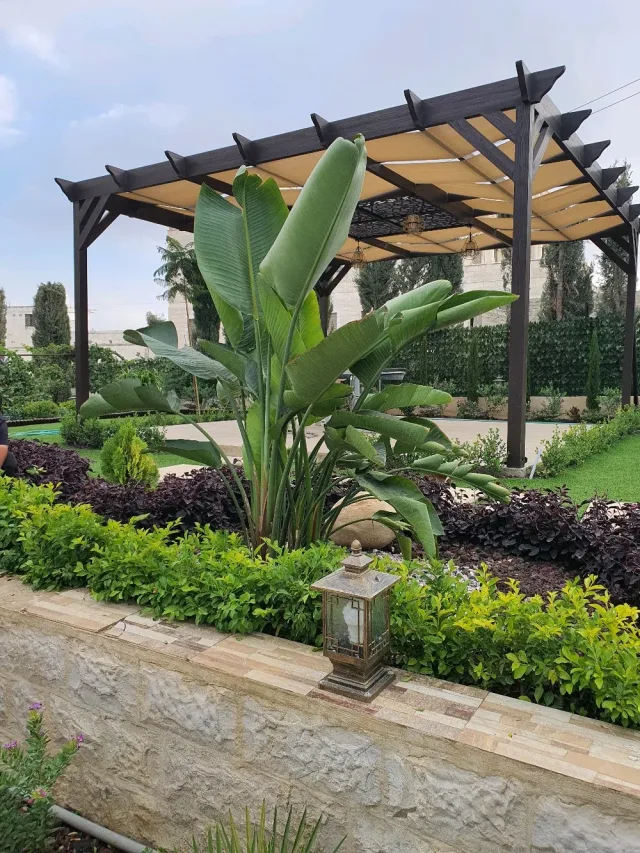 مشاتل ناعور الزراعية 11