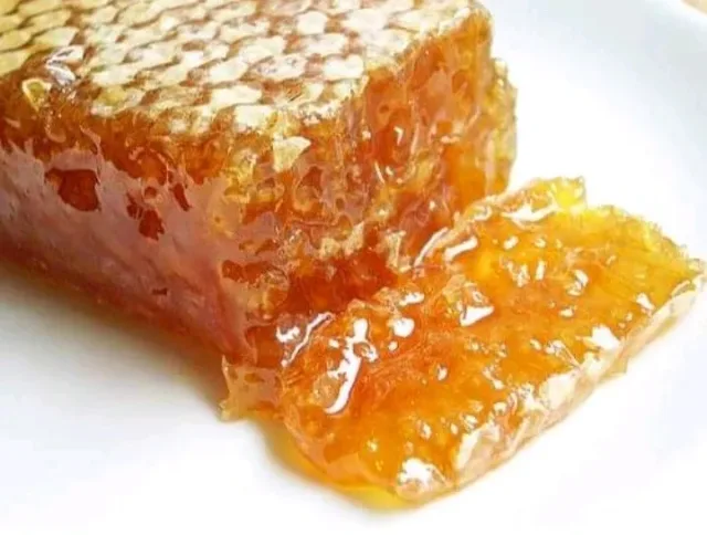 مناحل الصقر 6