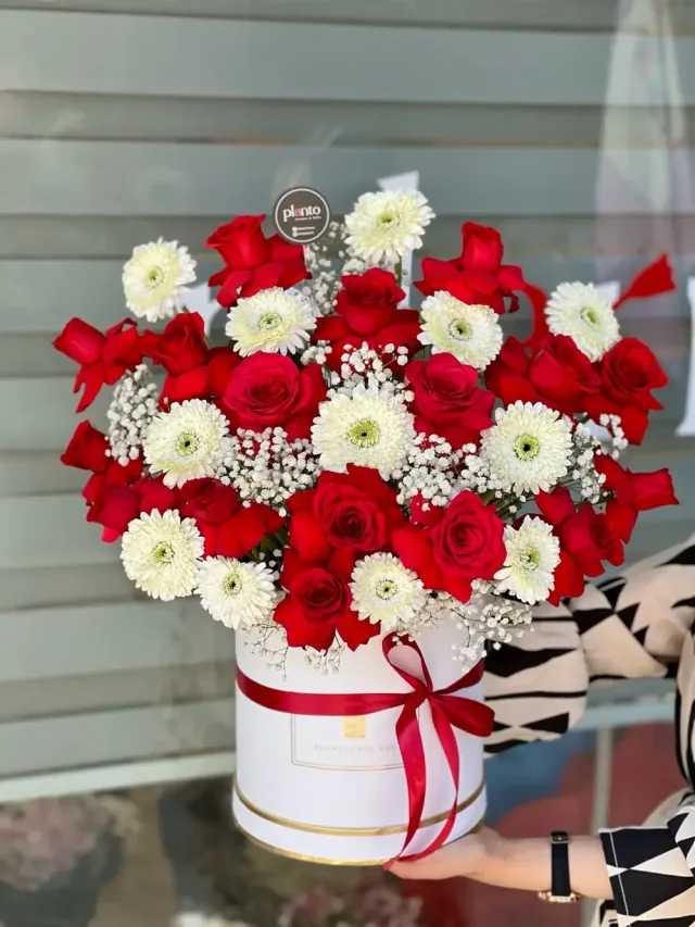 Planto Flowers - ازهار بلانتو
