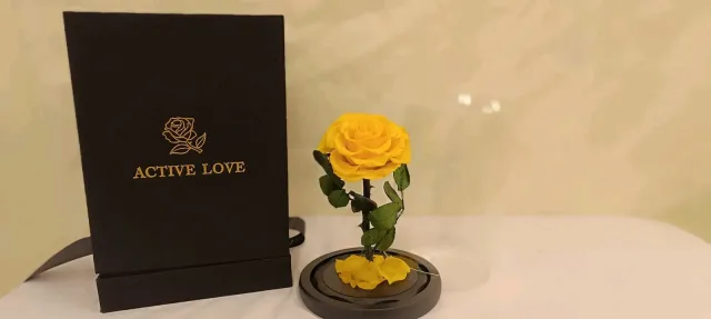 Forever rose Jo 8