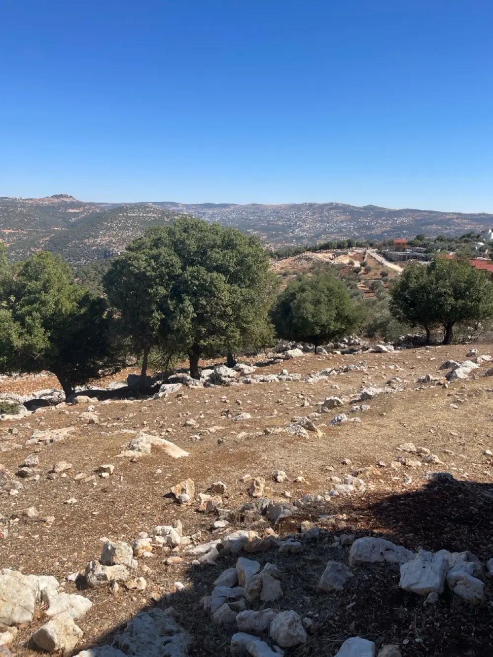 ارض باطلالة بانورامية على قلعة وجبال عجلون