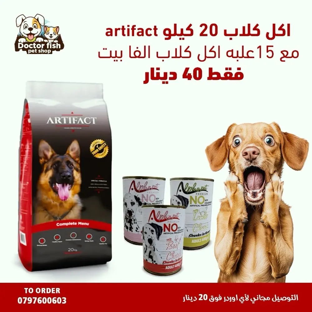 اكل قطط وكلاب