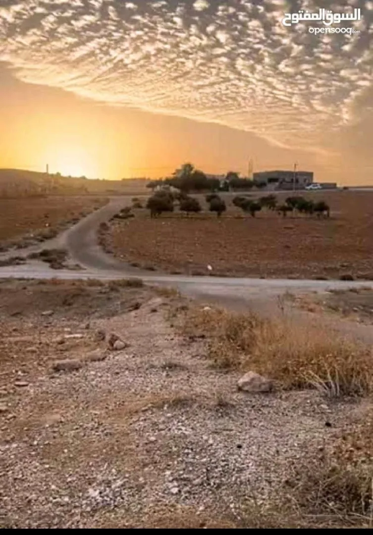 ارض بالمفرق مساحة ٦٤١