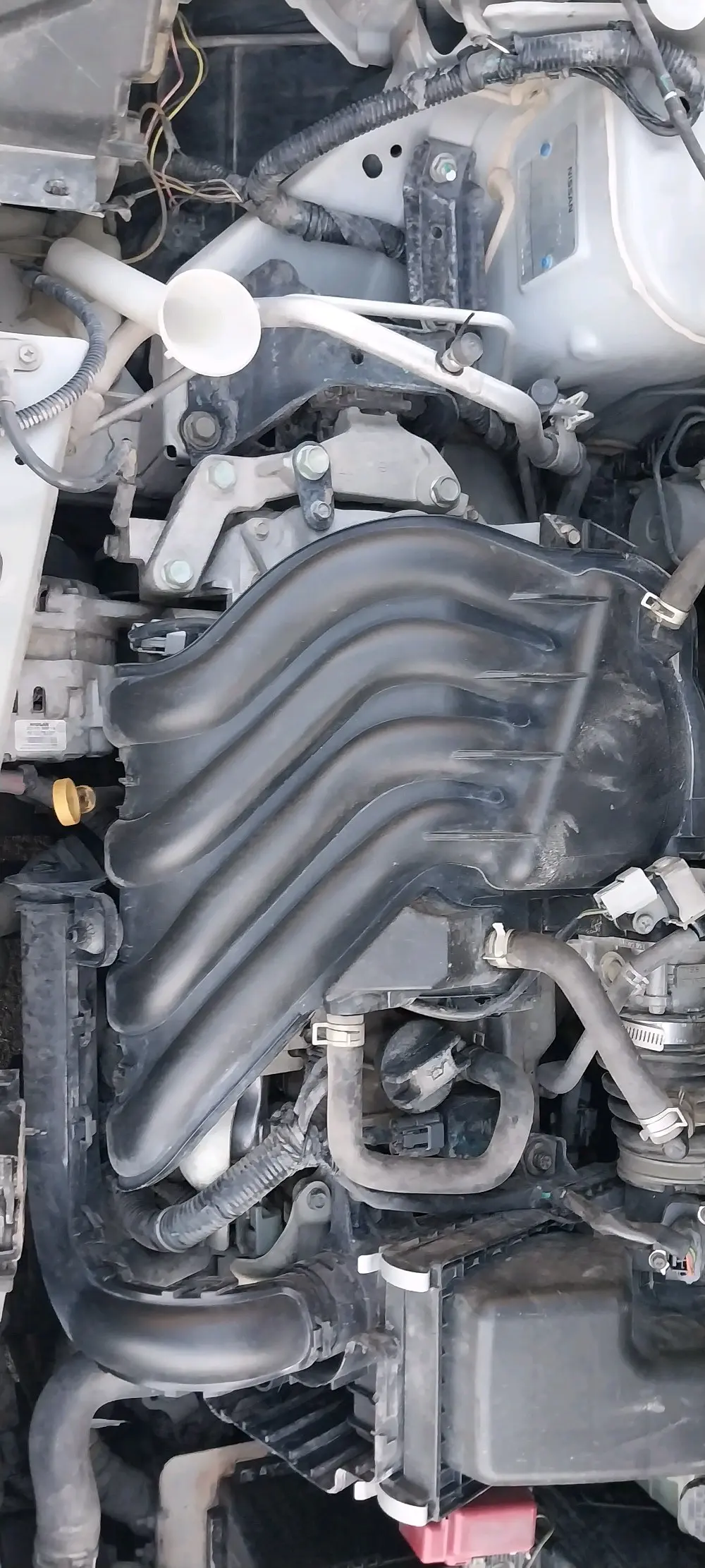 عمان /الزرقاء