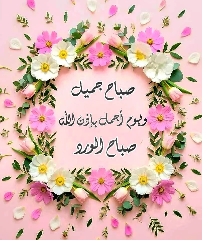 قطعة أرض في بدر الجديده السعر 140.الف أرض سكنية مفروزه/ام اح م د