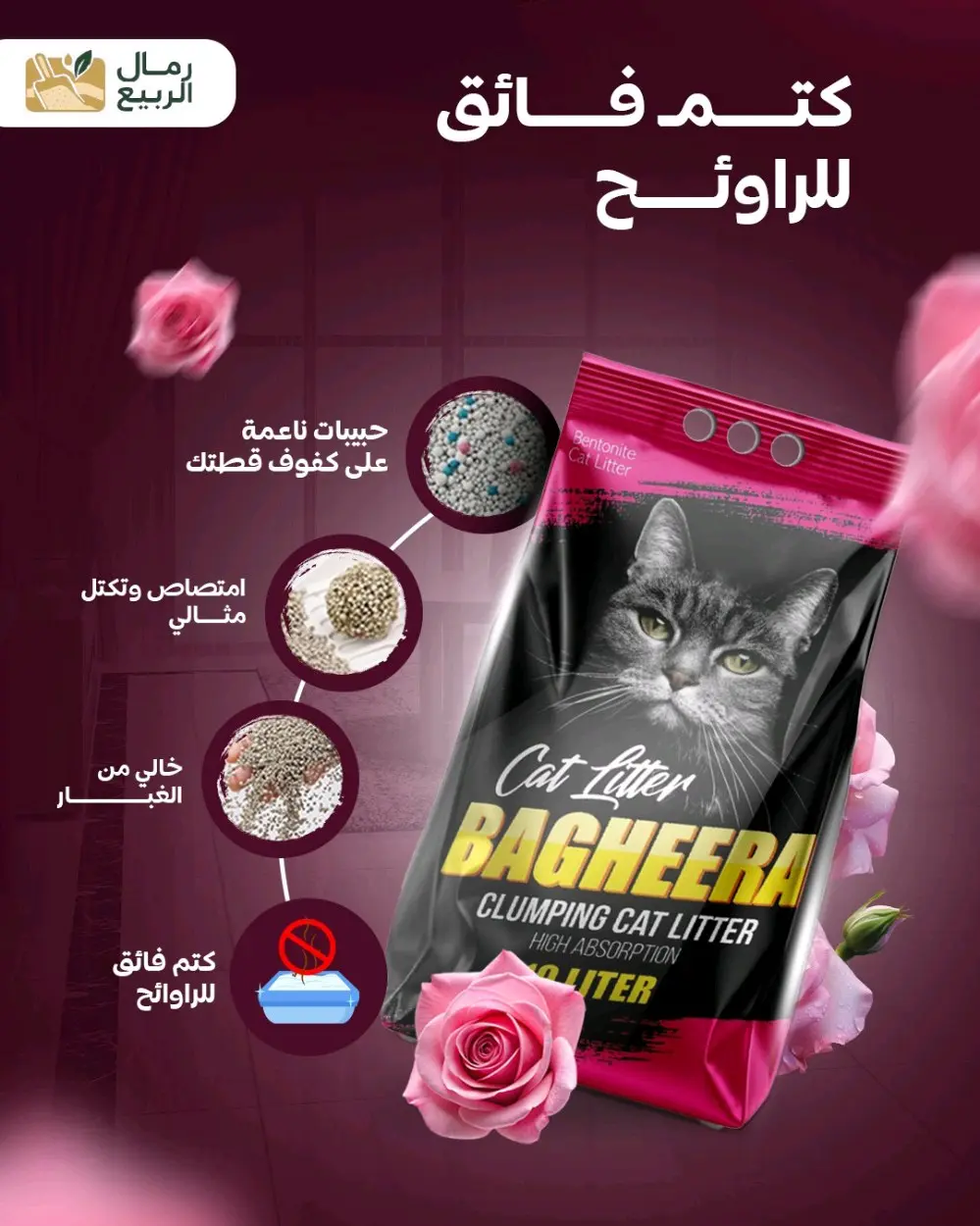 رمل قطط باغيرا للتجار و الموزعين