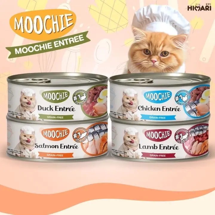 مستلزمات حيوانات اليفه