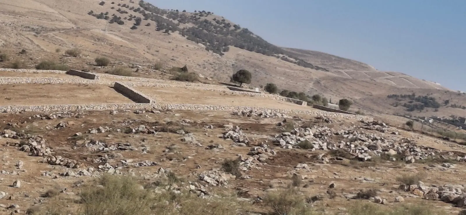 ارض للبيع في بيرين مميزه جدا للاستثمار القريب