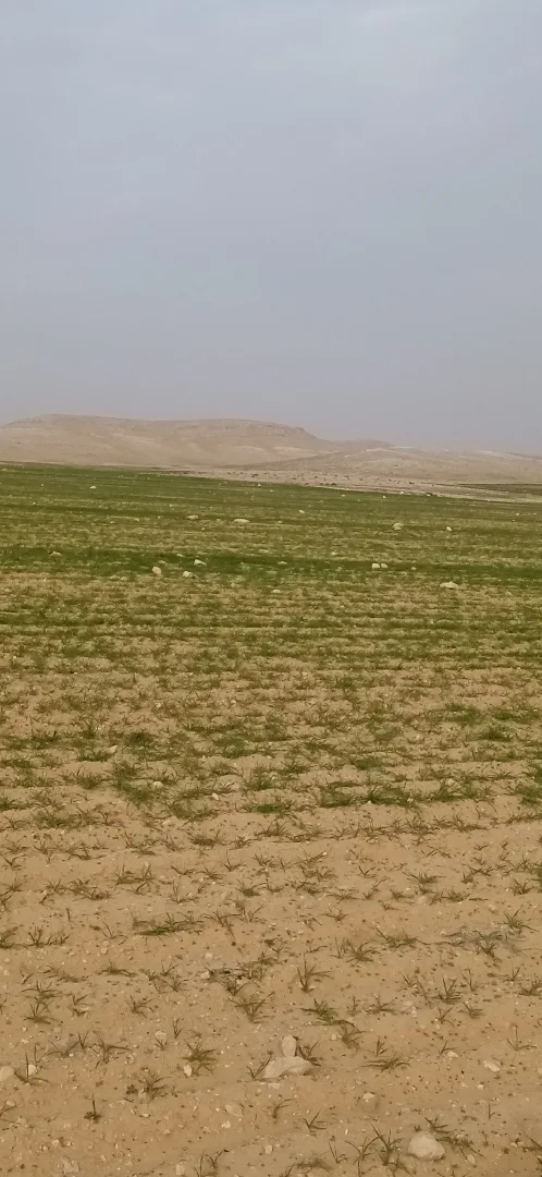 ارض مميزة للبيع في الزرقاء الهاشمية