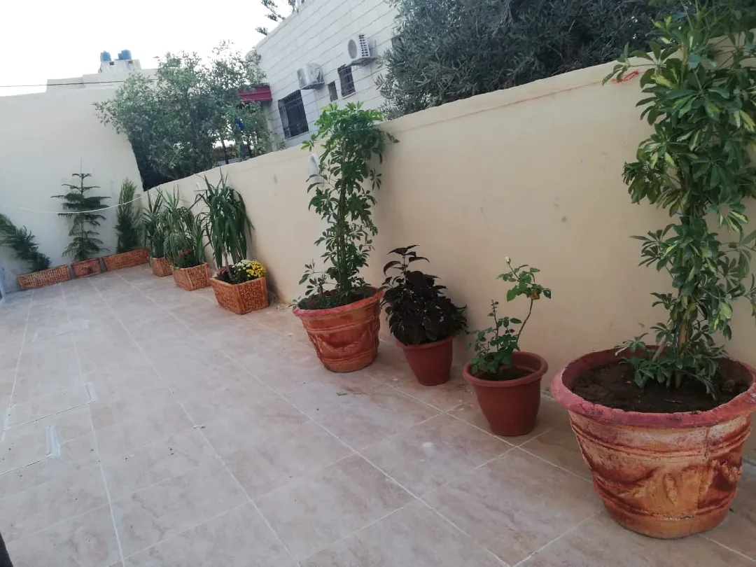gallery 4