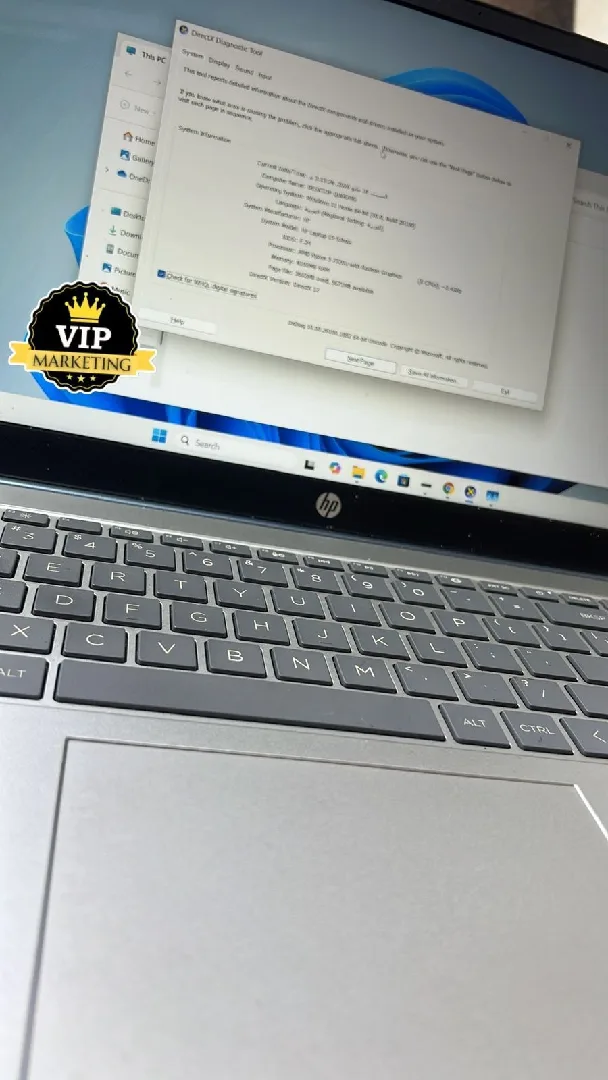 gallery 3