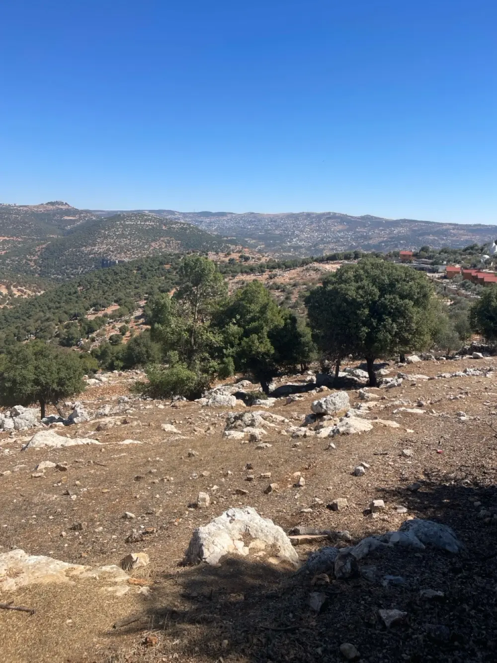 ارض باطلالة بانورامية على قلعة وجبال عجلون