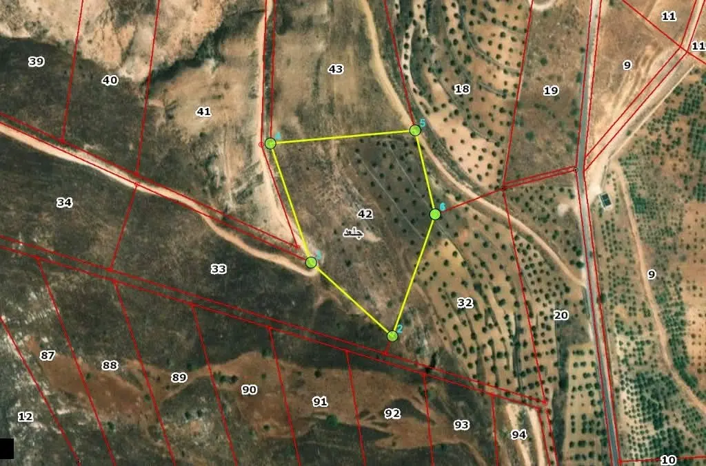قطعة أرض زراعية للبيع في محافظة البلقاء - جلعد