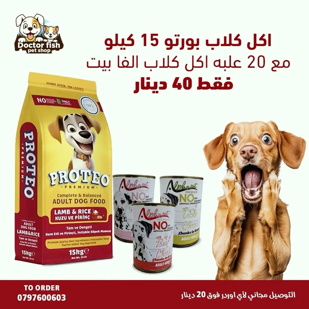 اكل قطط وكلاب