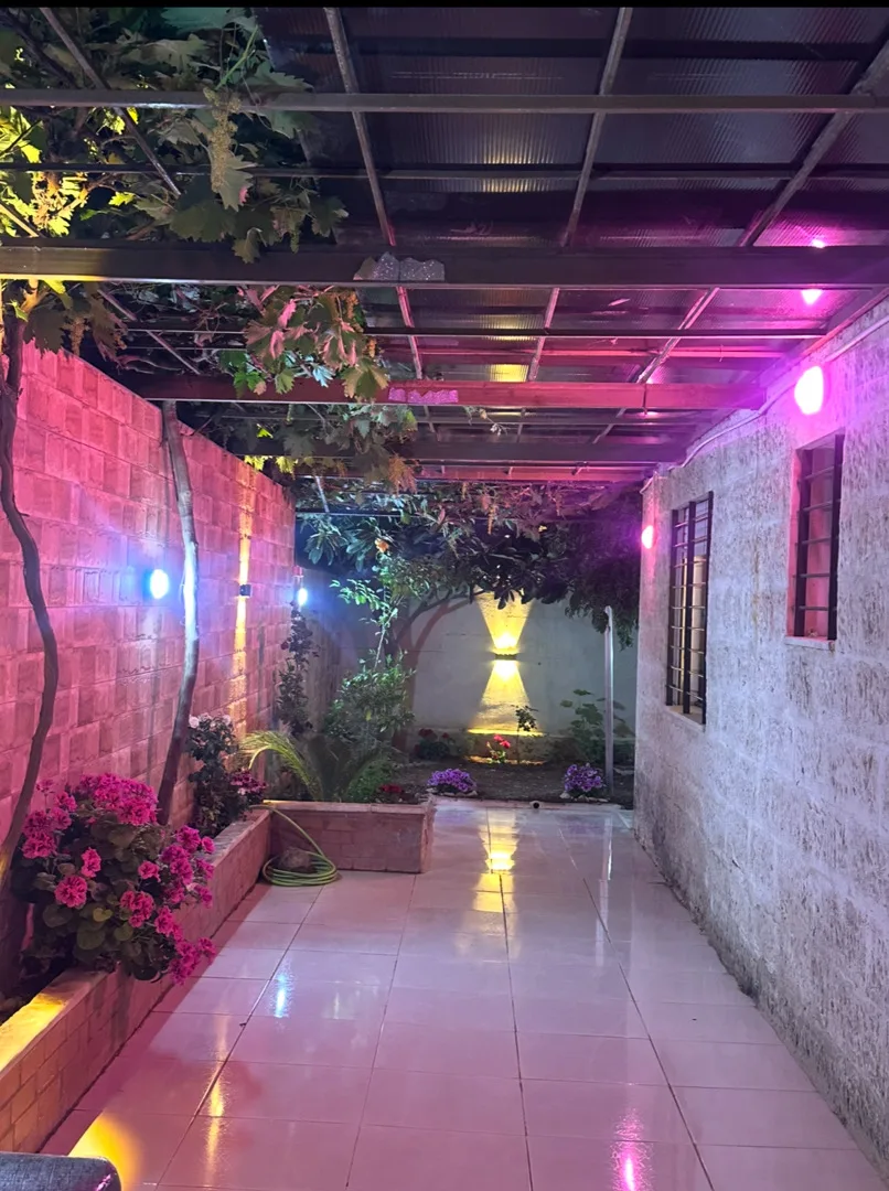 gallery 14