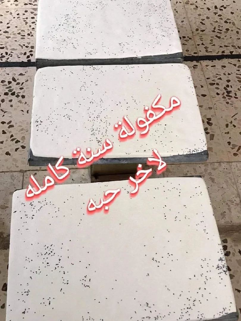 جبنه غنم بلديه 100%