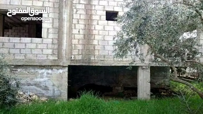 بيت عظم مسطح كبير بقريه الطيبه اربد للبيع بسعر مغري