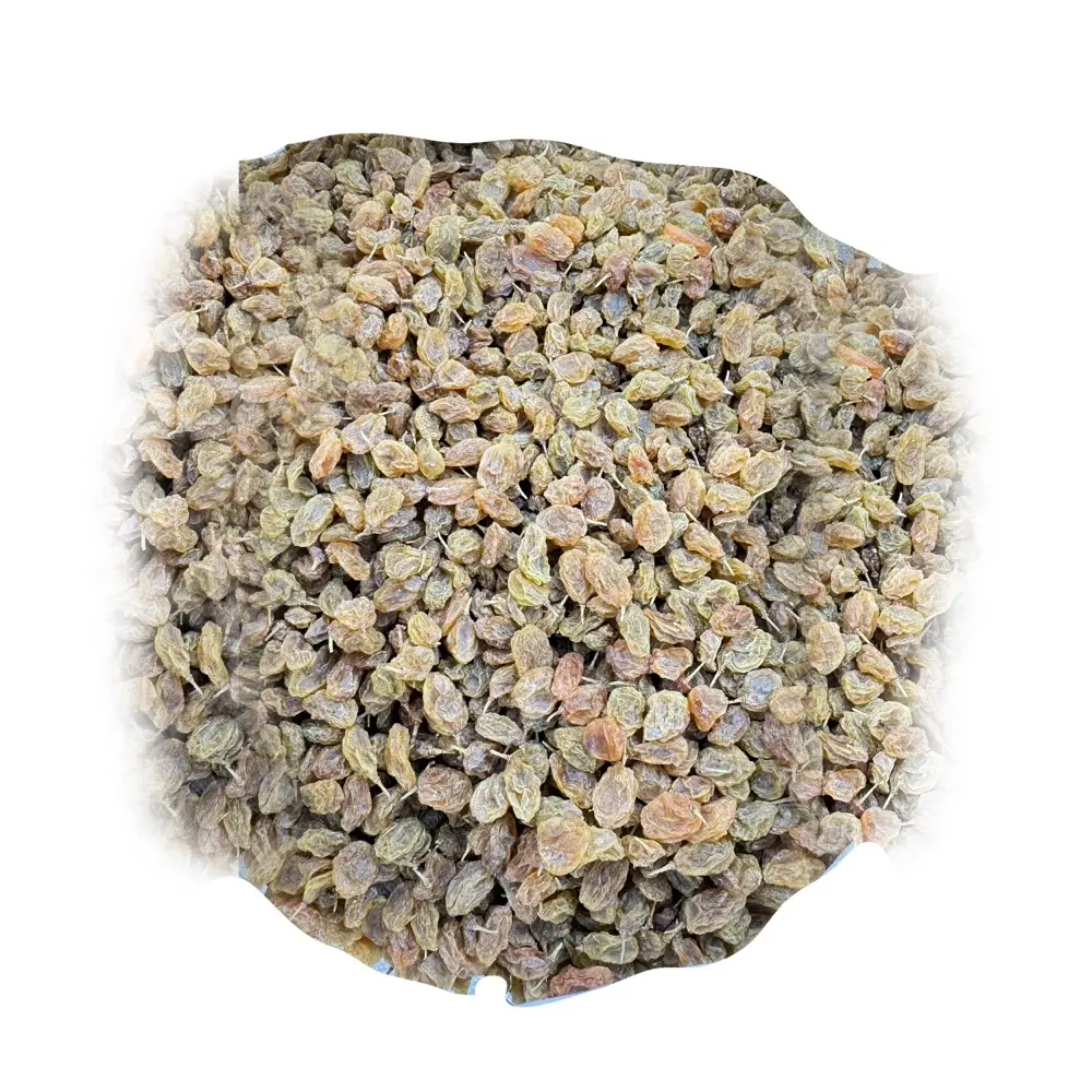 الزبيب اليمني