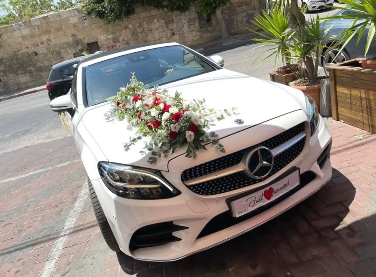 سيارات للايجار