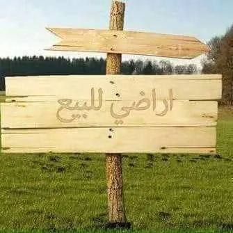 ارض للبيع