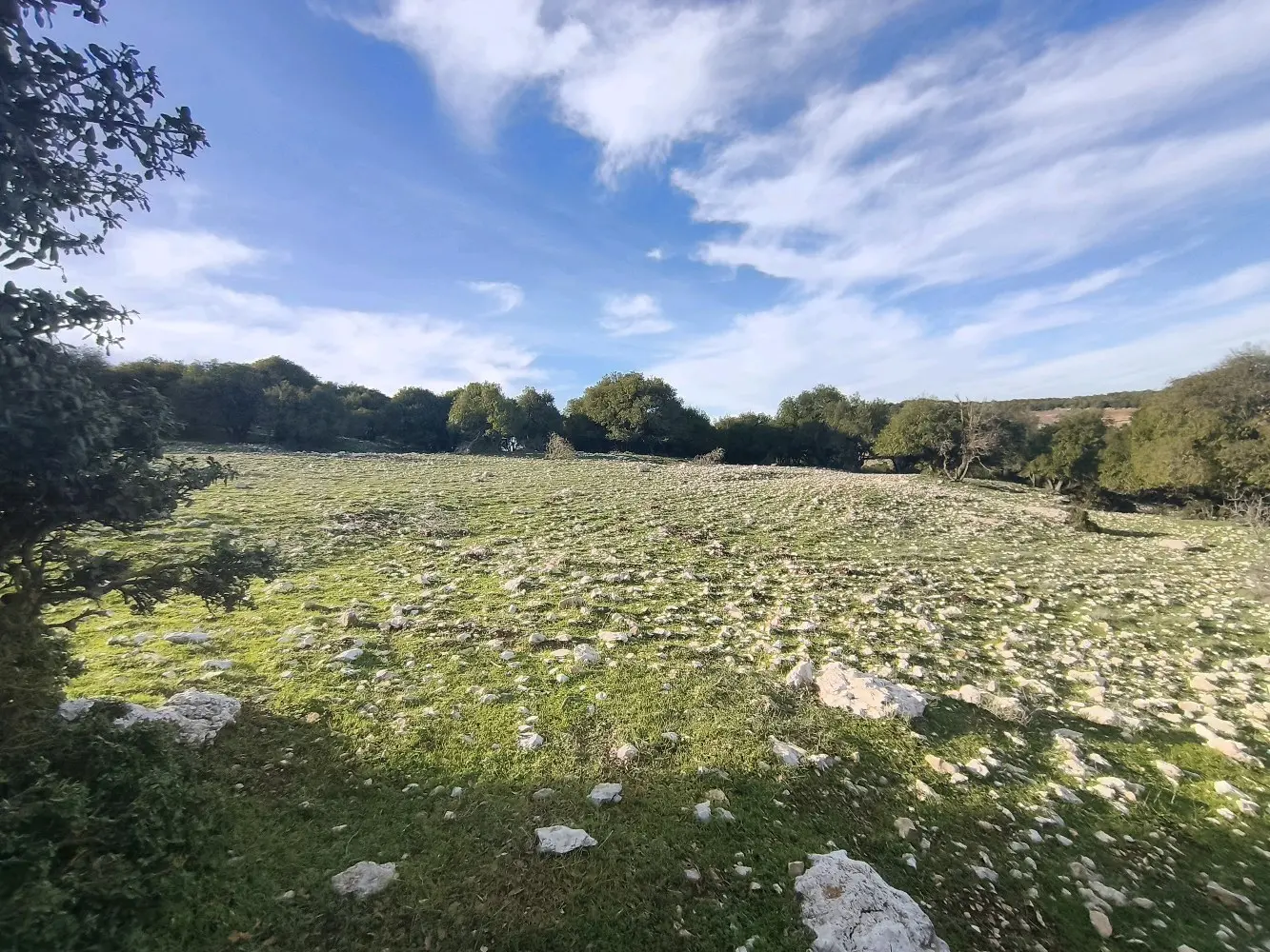 ارض للبيع في جبال عين جنا عجلون بمساحة 3687 م2 بسعر 55 الف قابل للتفاوض