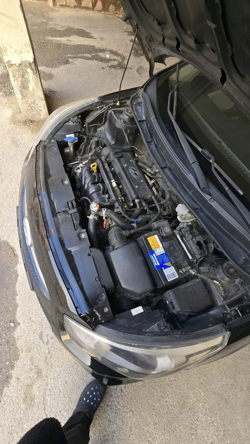 اكسنت 2016 لون أسود للبيع