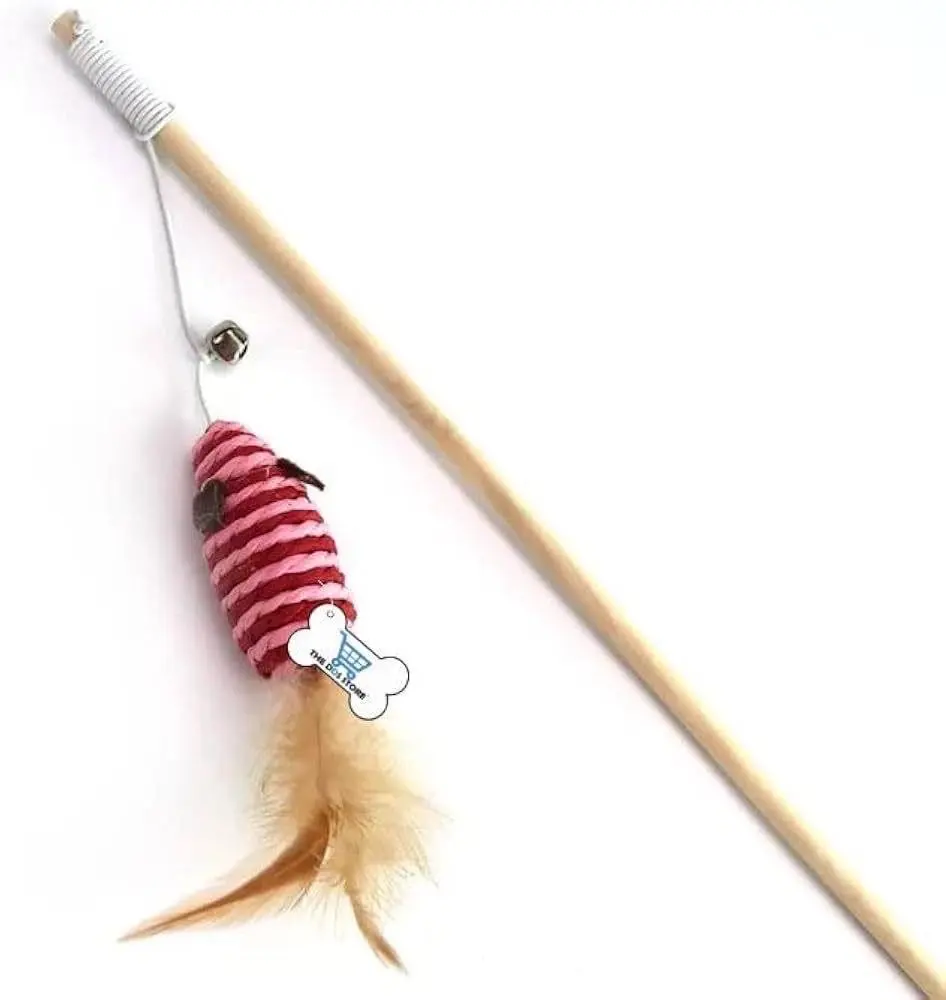 ‏تشكيلة أكسسوارات