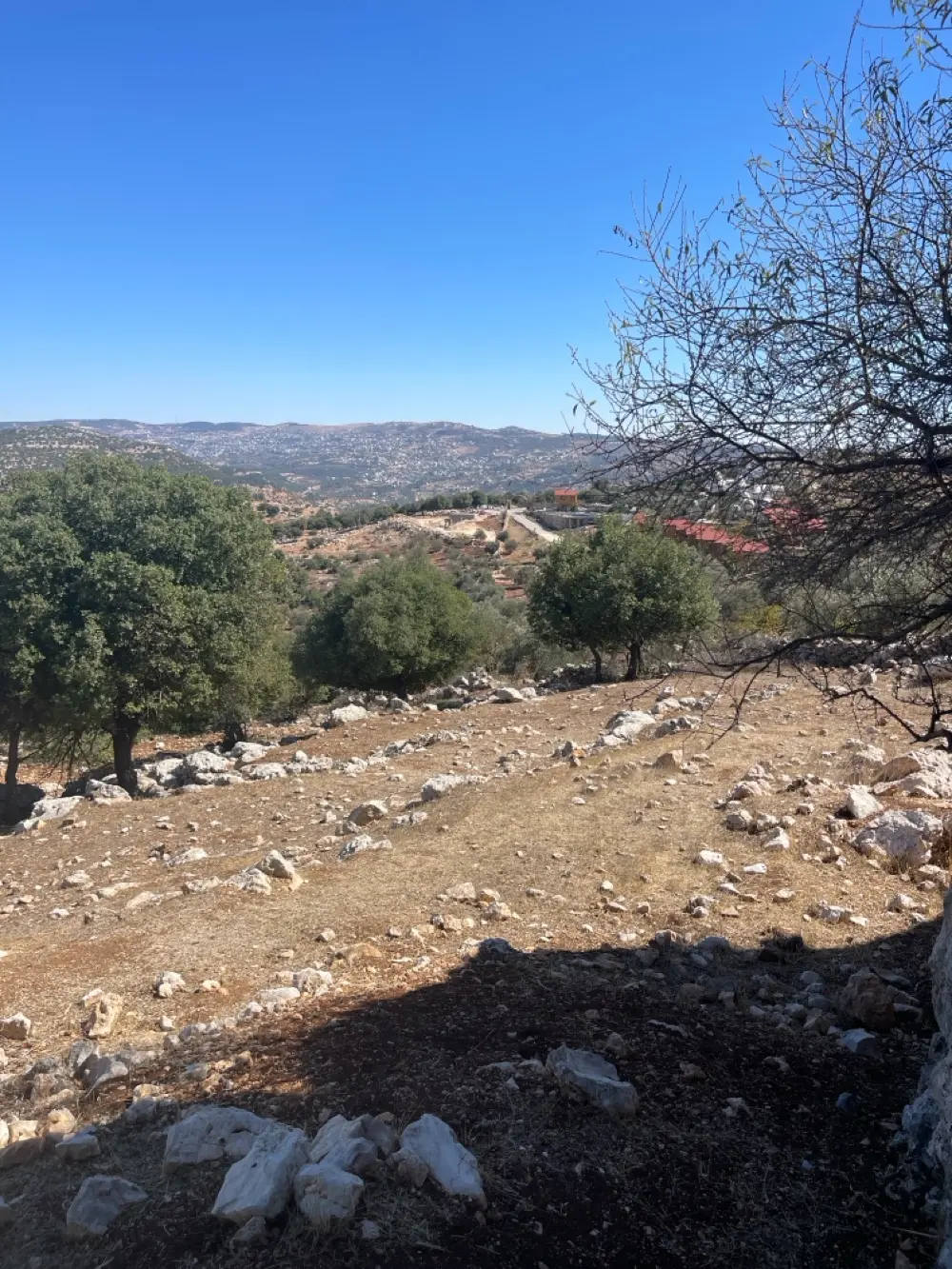 ارض باطلالة بانورامية على قلعة وجبال عجلون