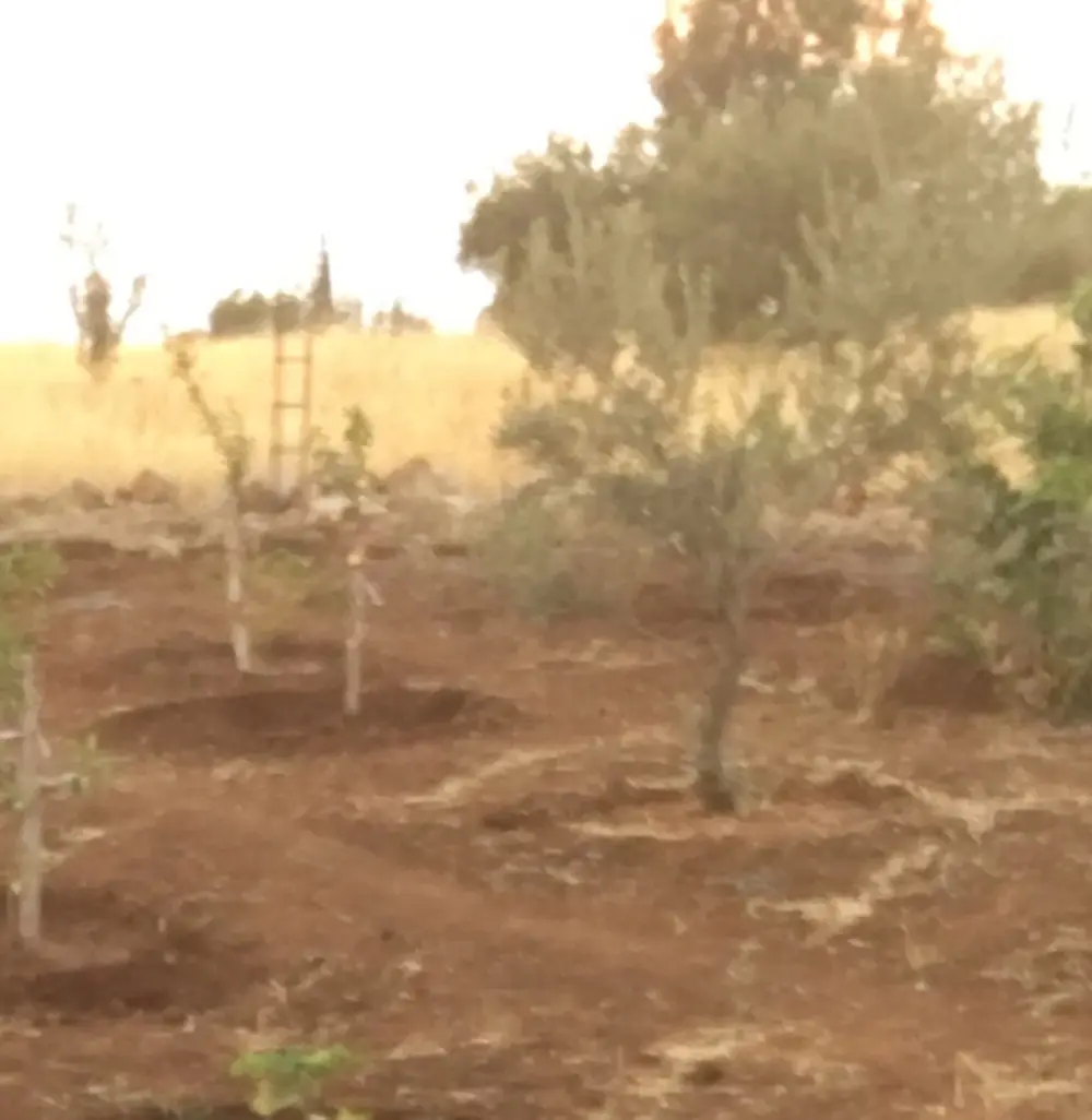 ارض للبيع بالقرب من السوق المركزي