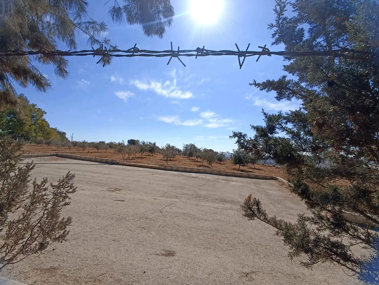 مزرعة للبيع في مادبا