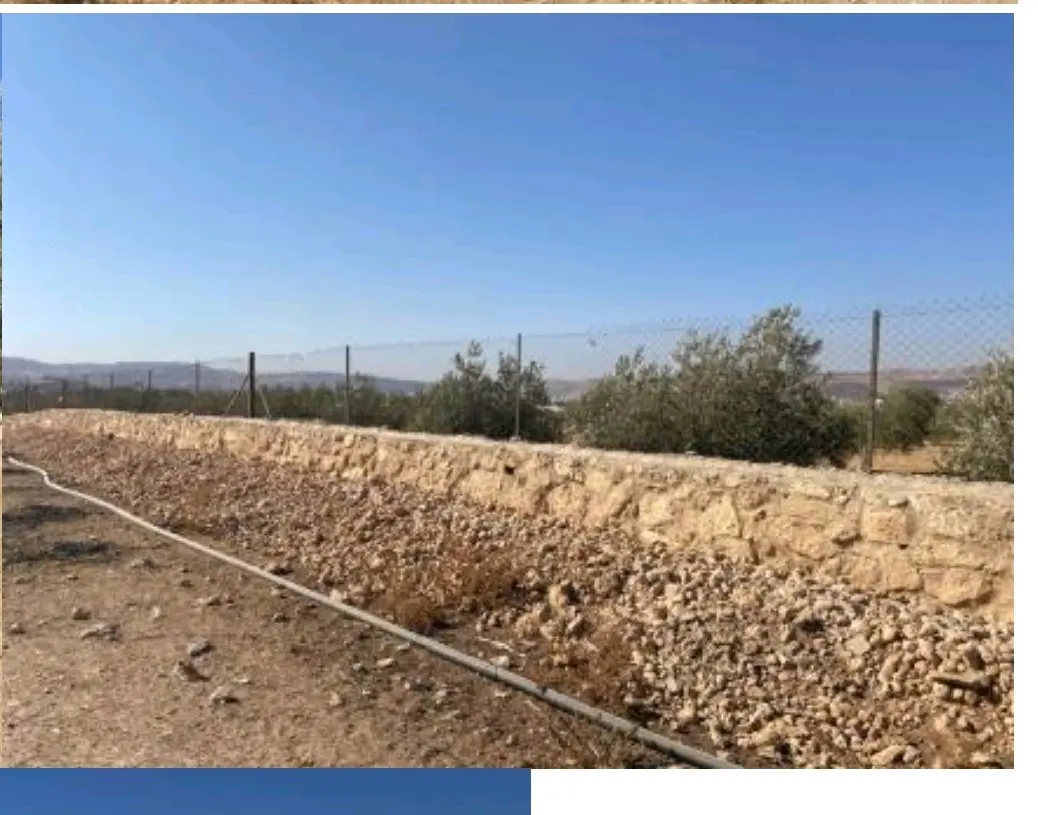 مزرعة للبيع موبص