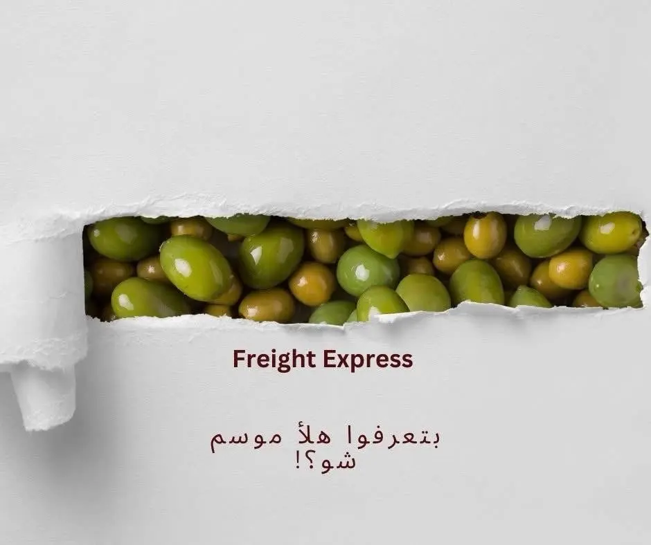 شحن زيت الزيتون من الباب الى الباب